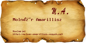 Molnár Amarillisz névjegykártya